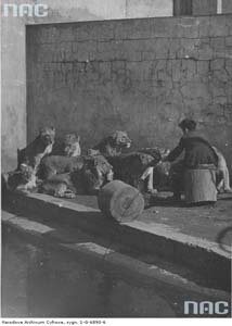 Treser lwów z warszawskiego ogrodu zoologicznego w czasie ćwiczeń z dziesięcioma zwierzętami w marcu 1936 roku. Treser lwów z warszawskiego ogrodu zoologicznego w czasie ćwiczeń z dziesięcioma zwierzętami w marcu 1936 roku.