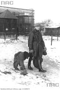 Szympans w swetrze na spacerze z pracownikiem ZOO w roku 1939. Szympans w swetrze na spacerze z pracownikiem ZOO w roku 1939.