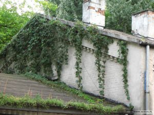 Warsztaty Kolei Warszawsko-Wiedeńskiej od strony NE Warsztaty Kolei Warszawsko-Wiedeńskiej od strony NE